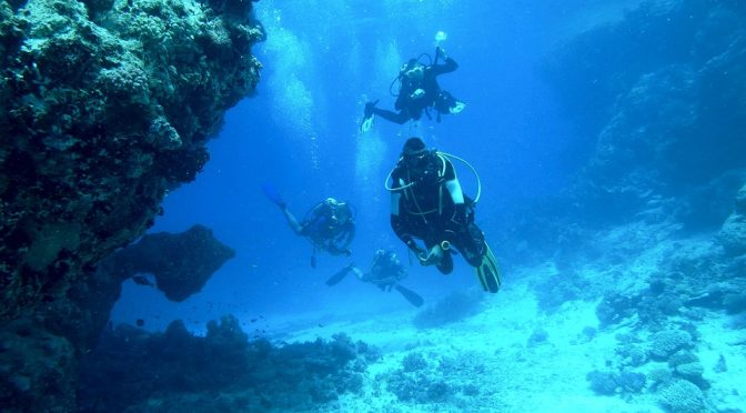 Comprehensive Padi Instructor Training