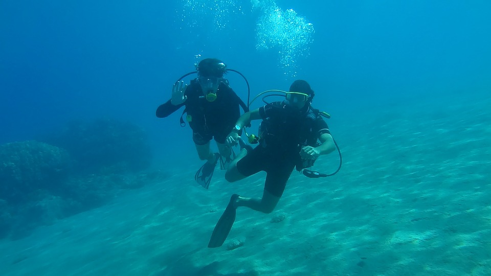 Padi Instructor Training- Learn To Go Under The Sea