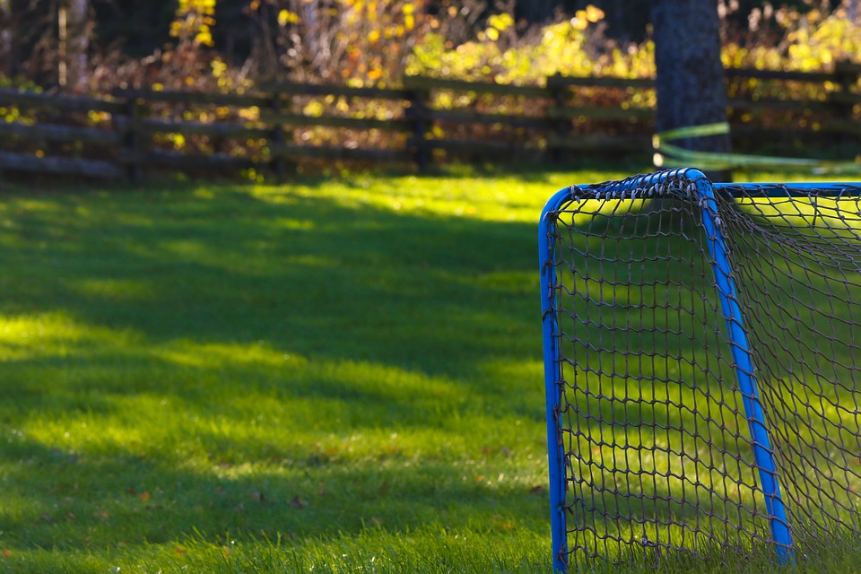 Using A Soccer Training Net