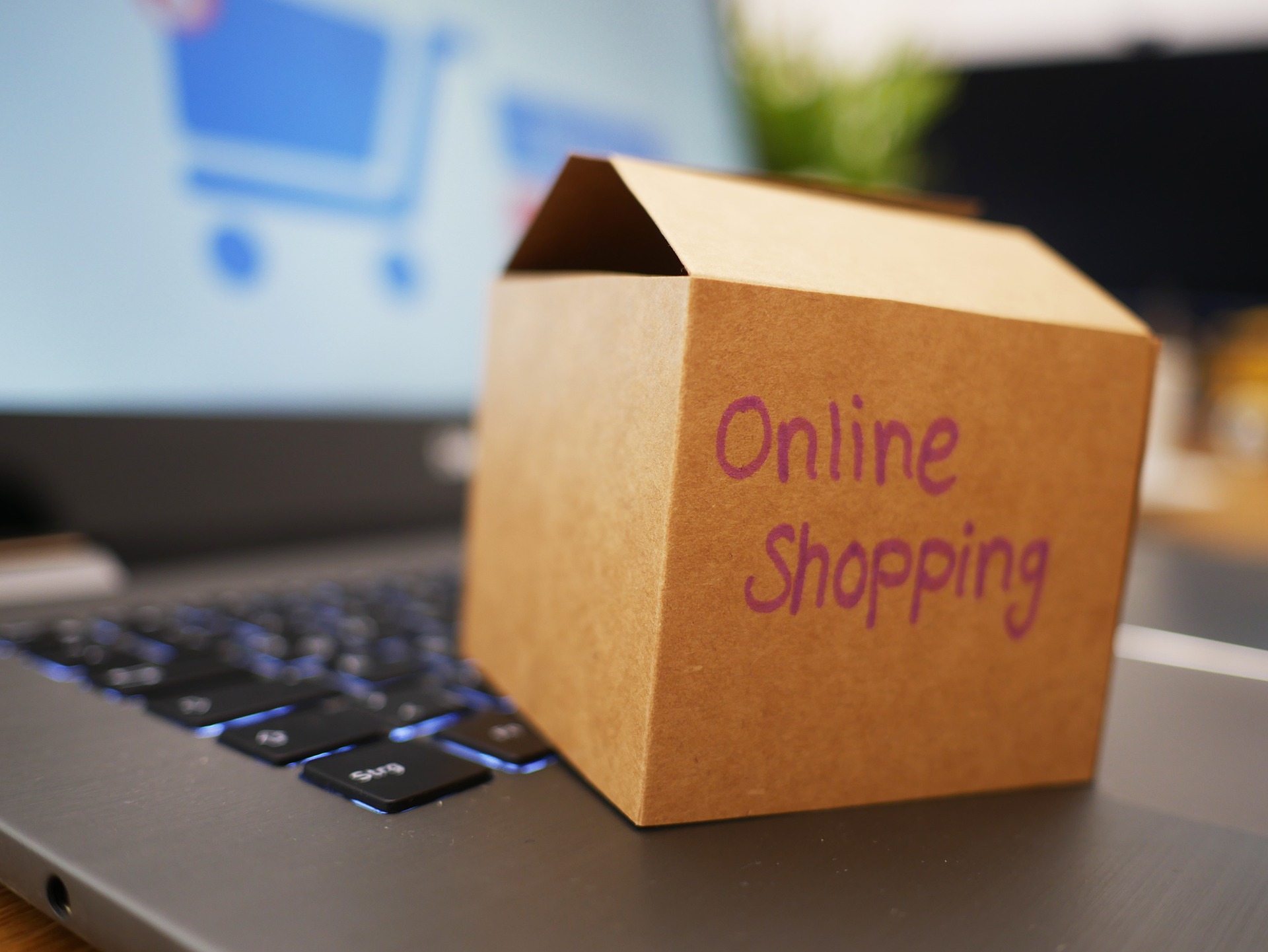 Make Money With Dropshipping