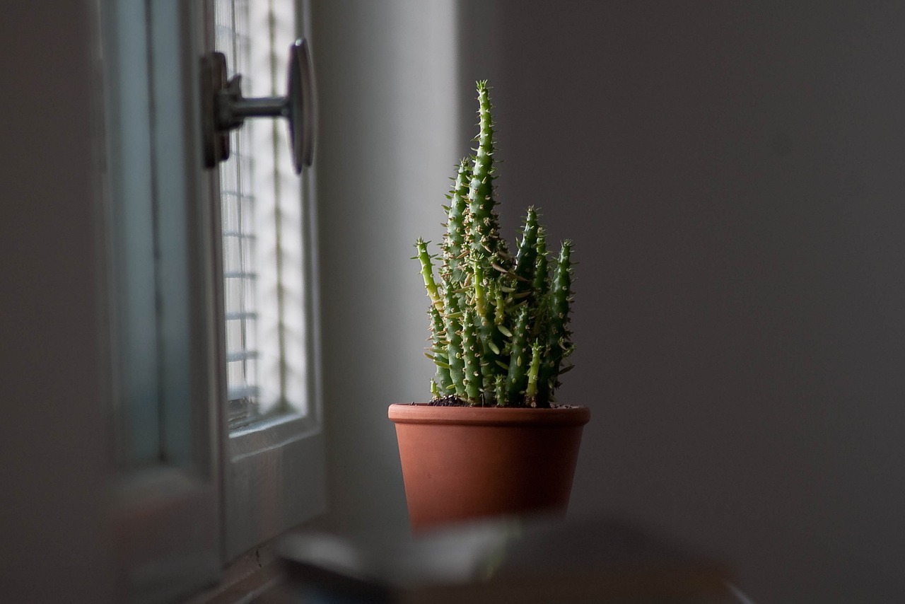 Smart Pots For Plants