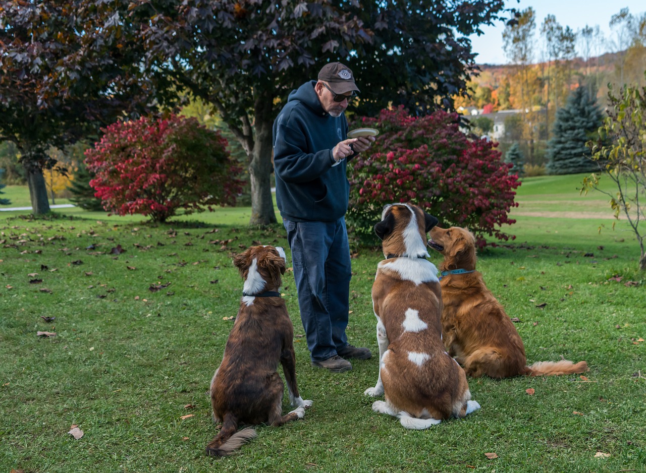 Dog Training Western Sydney