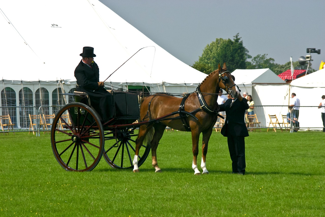 How To Choose Wedding Marquee Hire Companies