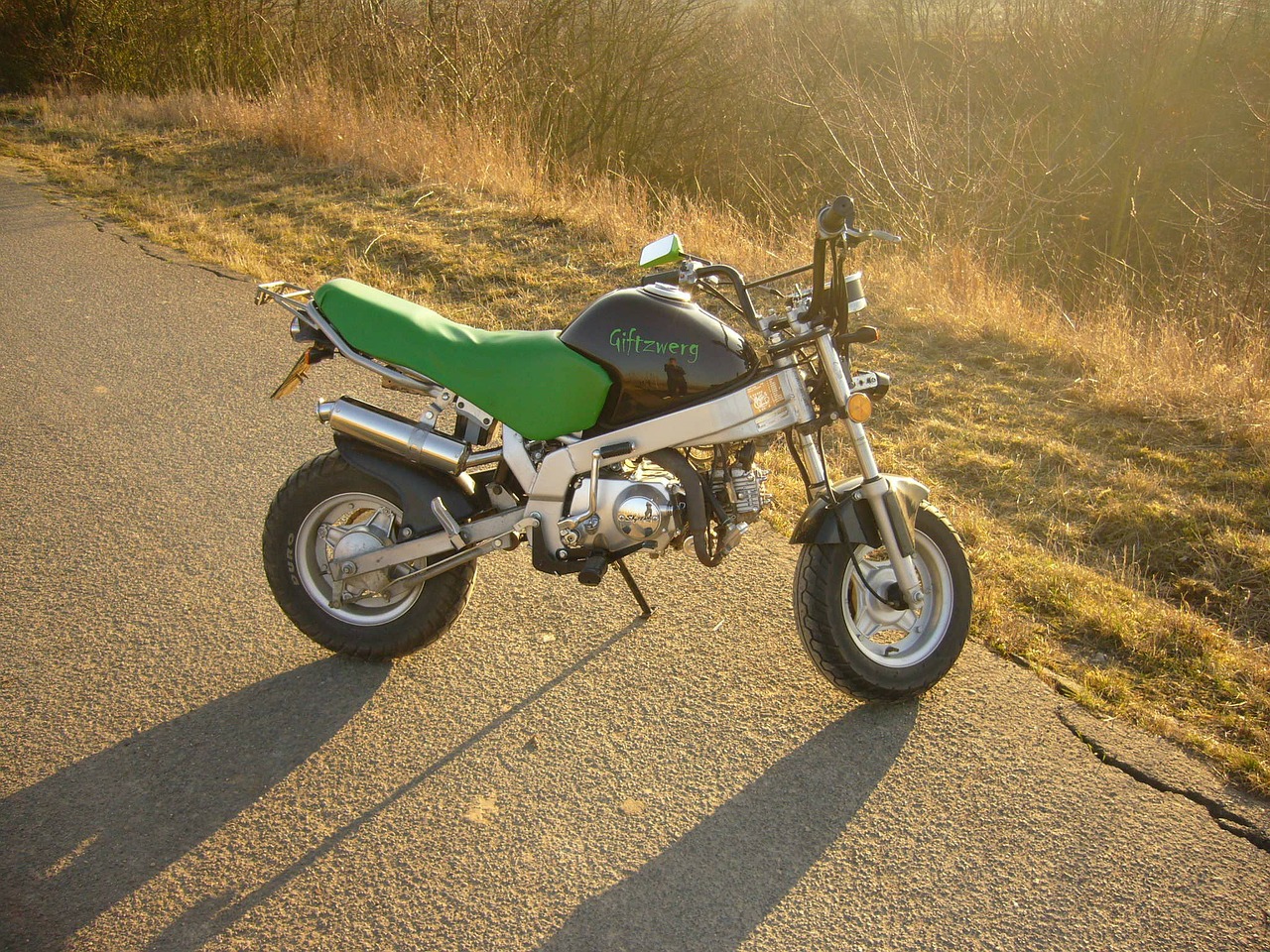 Powerful Coleman Mini Bike