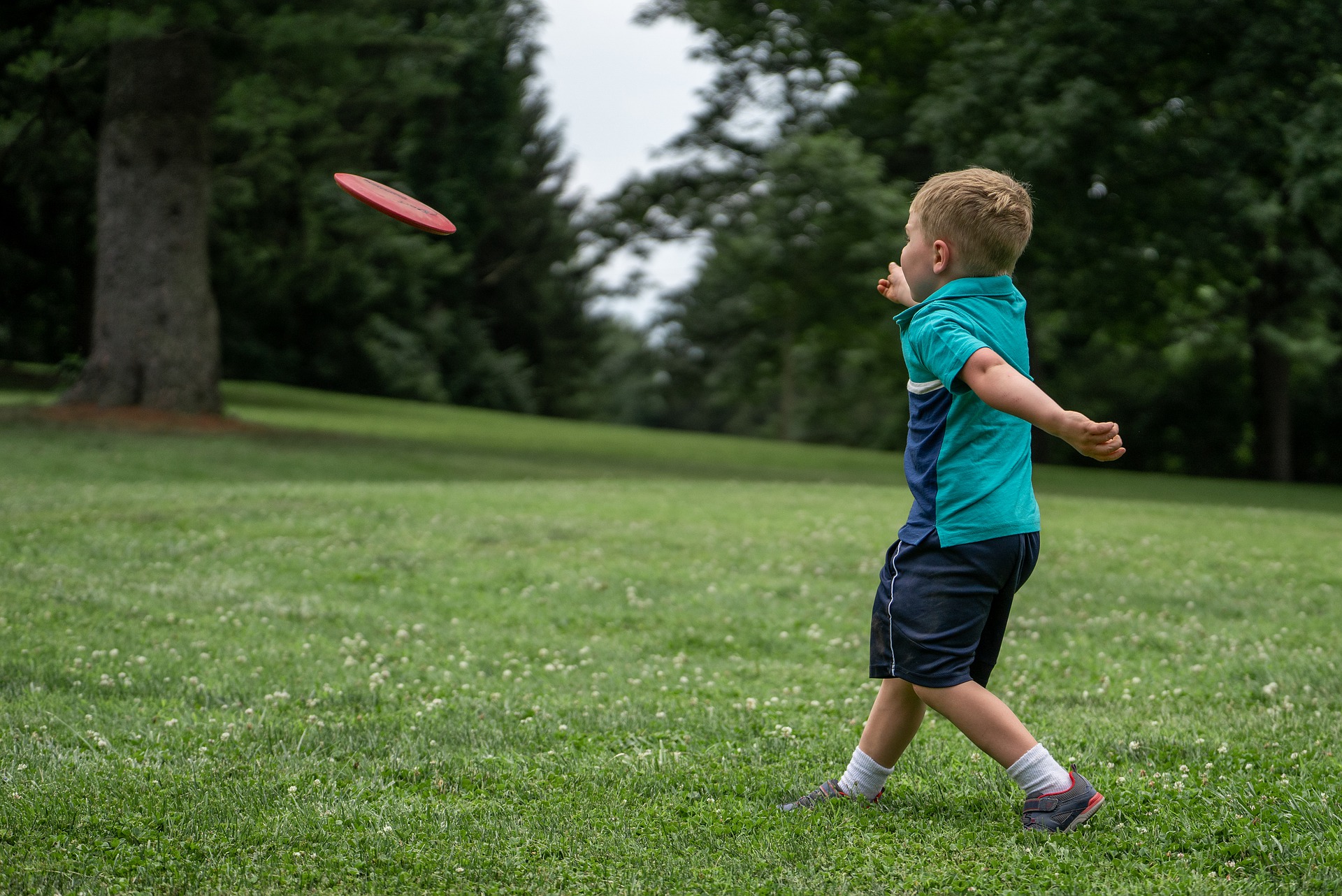 Disc Golf For Kids: A Fun Outdoor Game