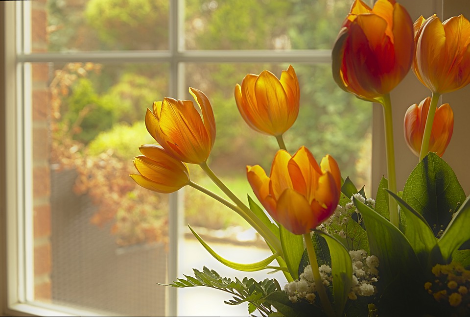 Artificial Tulips: 3 Things You Should Know