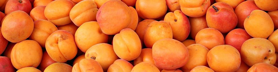 Apricot Seeds: The Superfood You’re Not Eating Enough Of