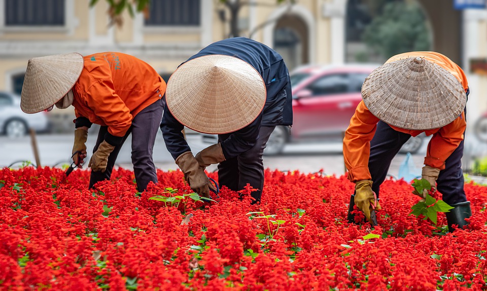 3 Reasons To Hire An Urban Garden Designer London