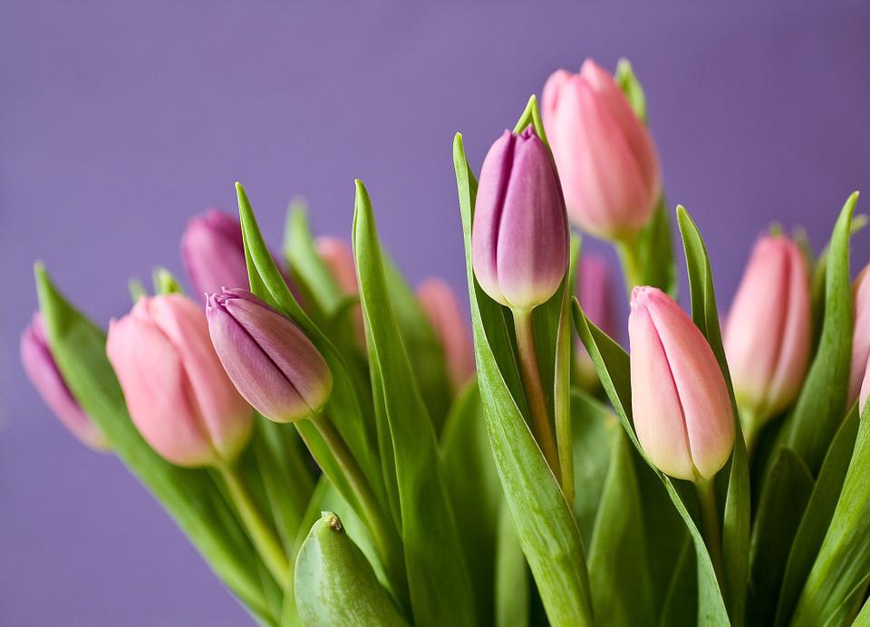 Decorations Using Artificial Tulips