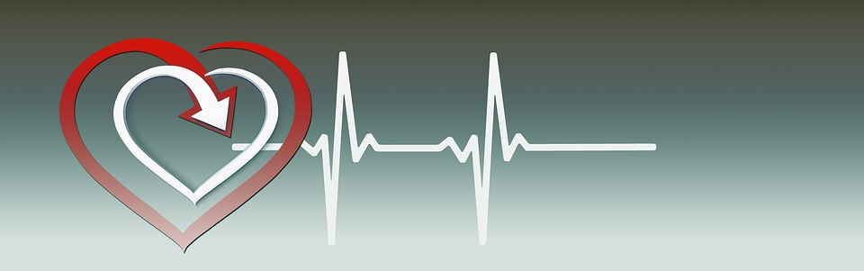 Sinus Bradycardia ECG: Everything You Need To Know