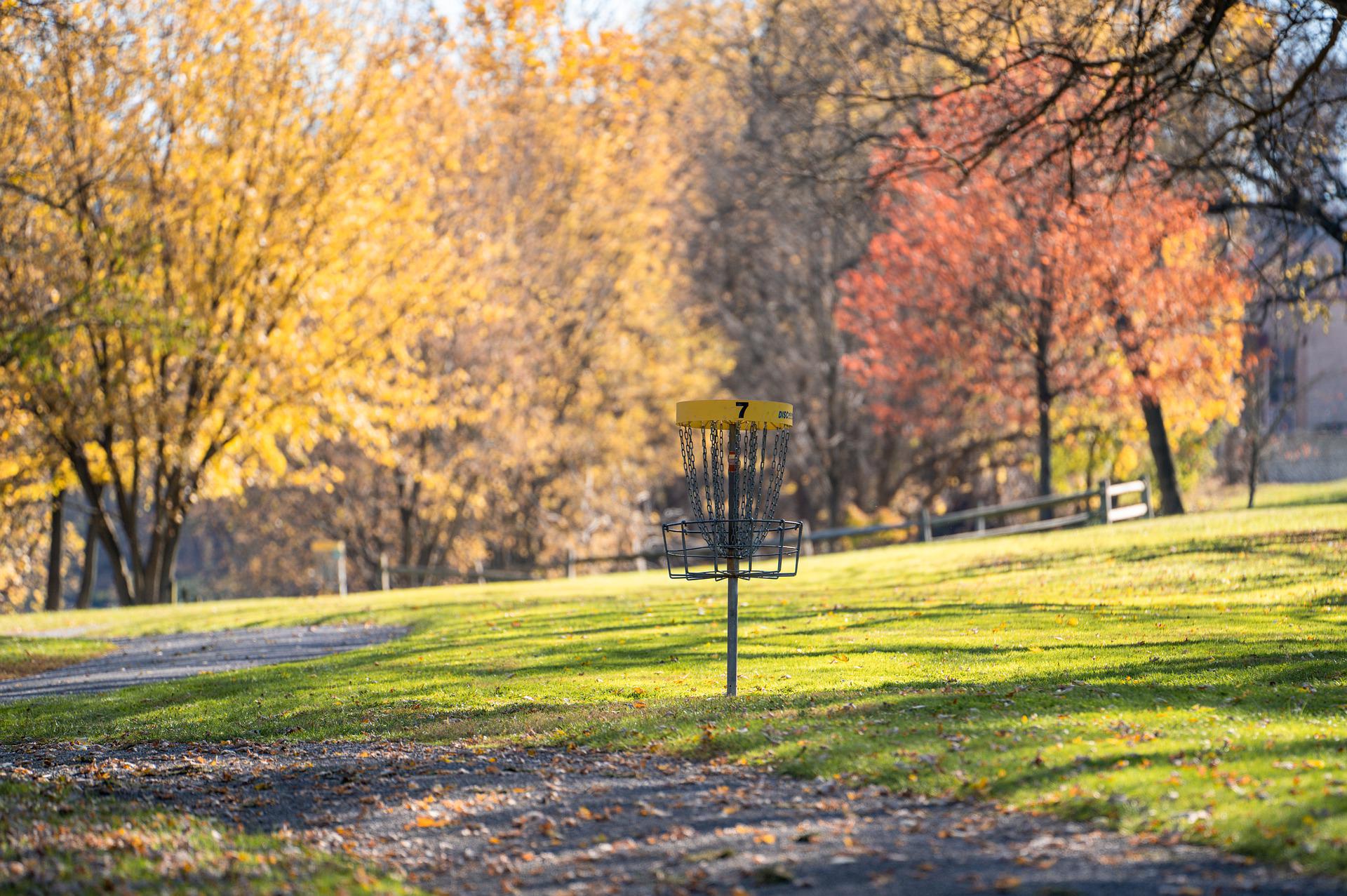 Frisbee Golf: The Sport Of Kings