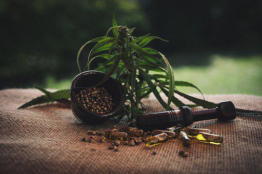 CBD Oil Hong Kong: Everything You Need To Know