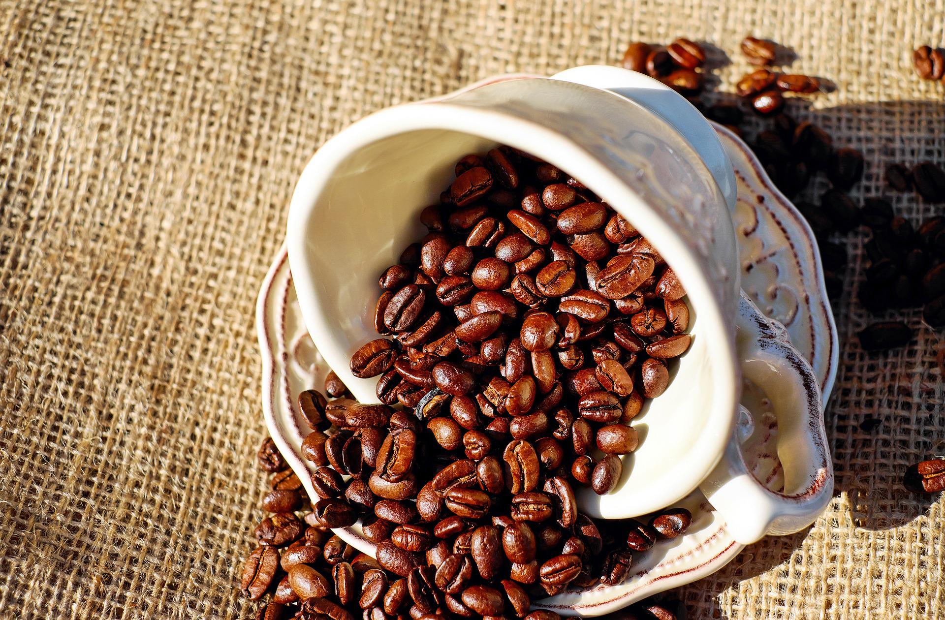 Everything You Need To Know About Coffee Beans