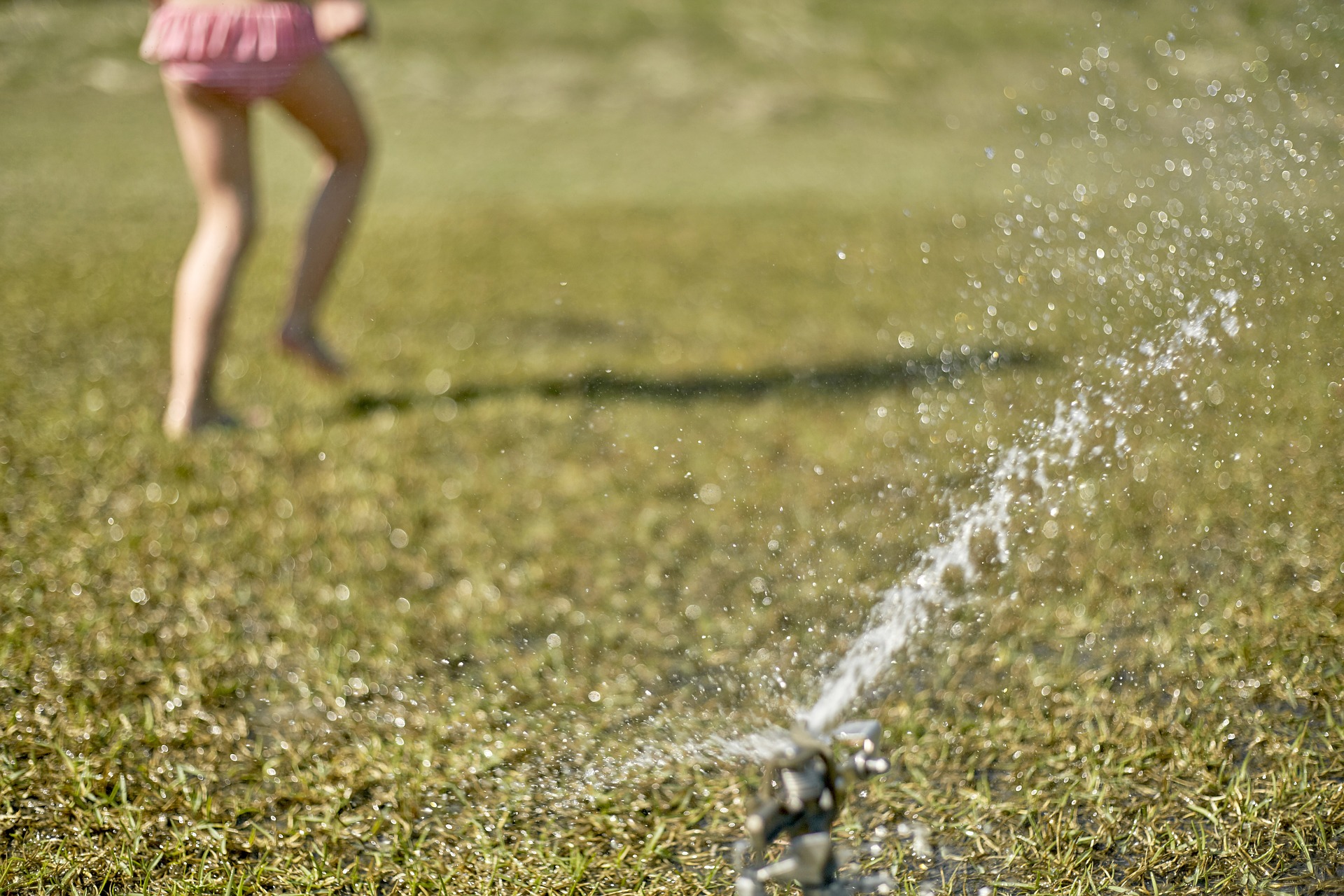 Lawn Water Sprinkler: Everything You Need To Know