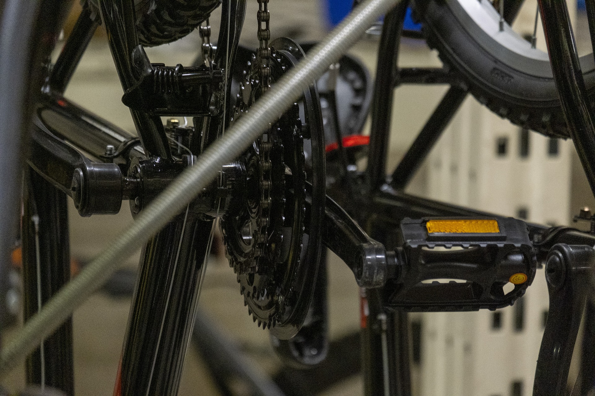 3 Reasons You Should Shop At A Specialized Bike Store