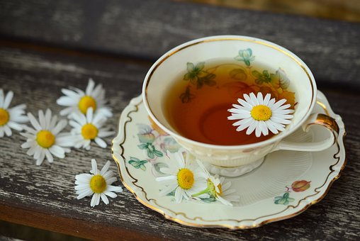 Herbal Teas: Everything You Need To Know