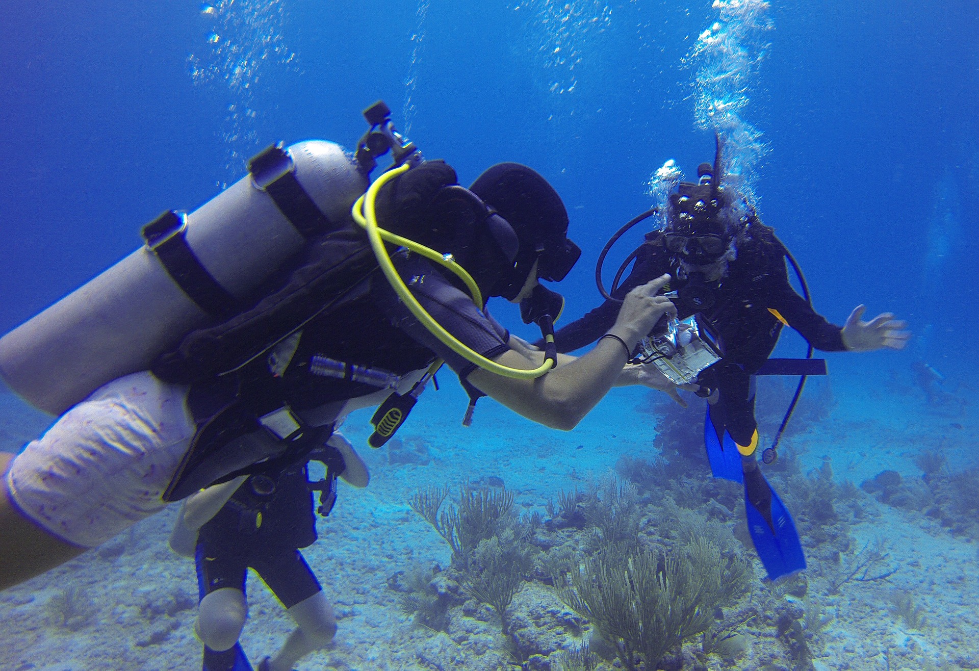 How To Find The Best PADI Instructor Training