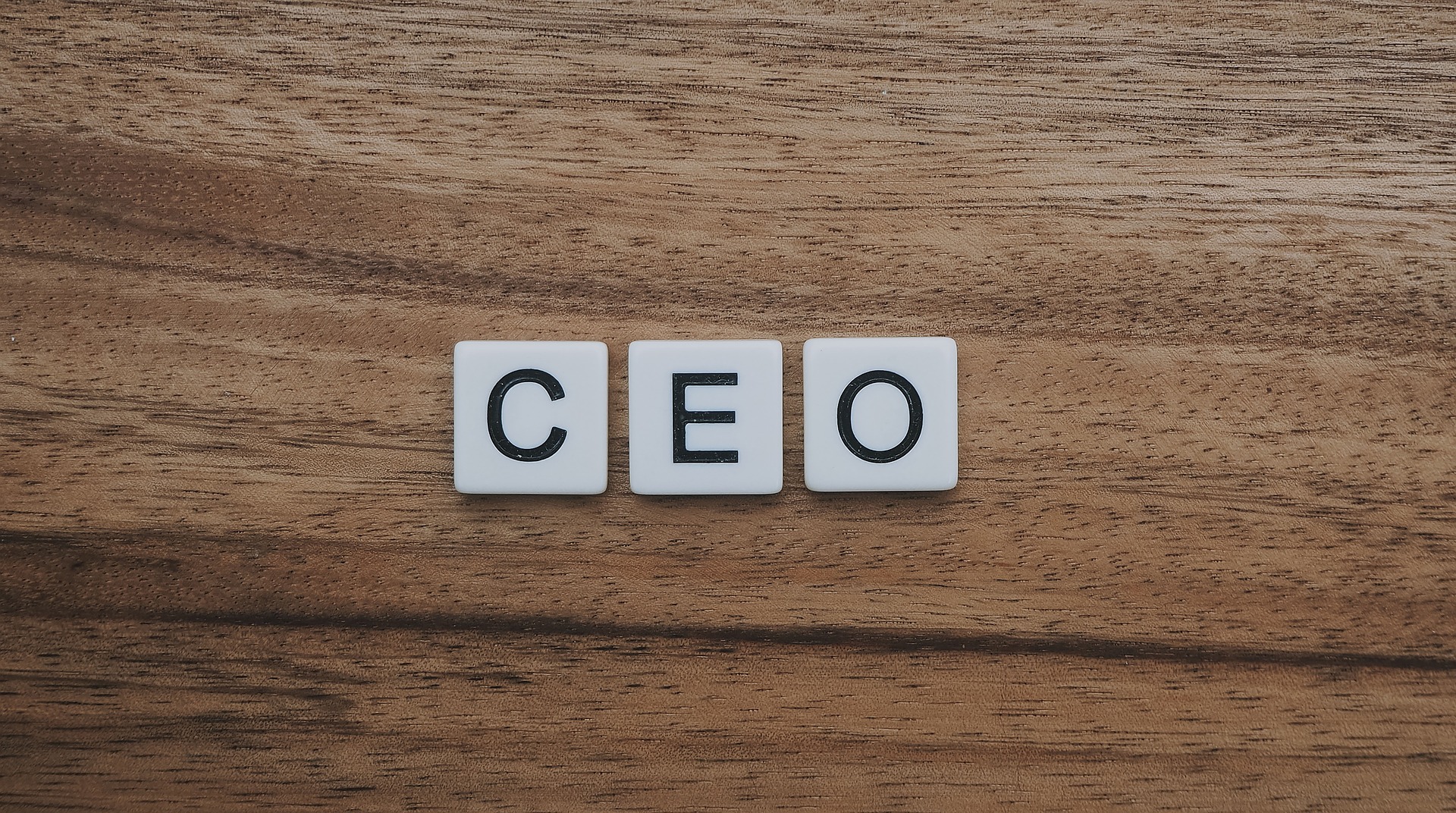 What Does A CEO Do?