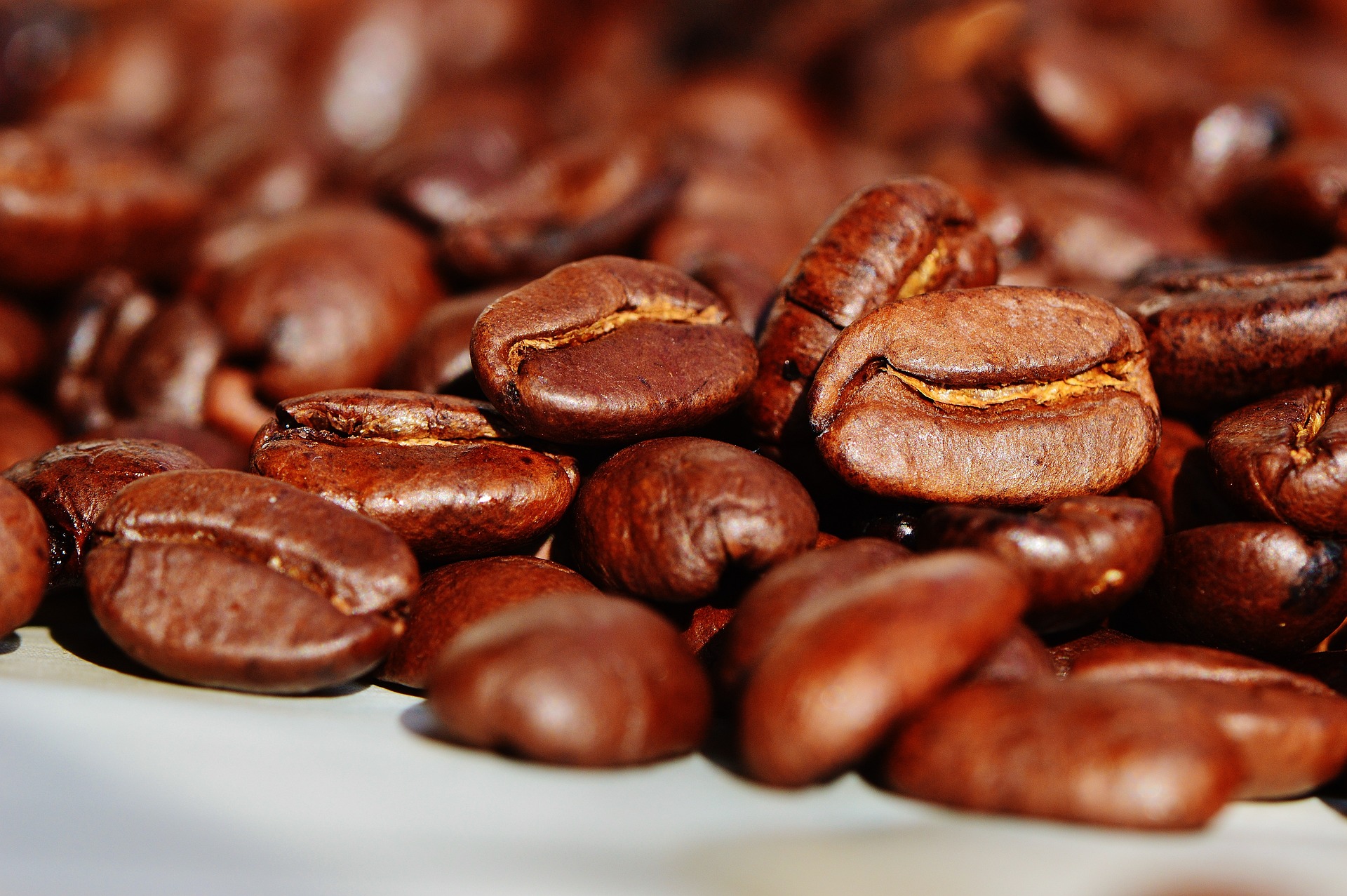 Best Coffee Beans In New Zealand