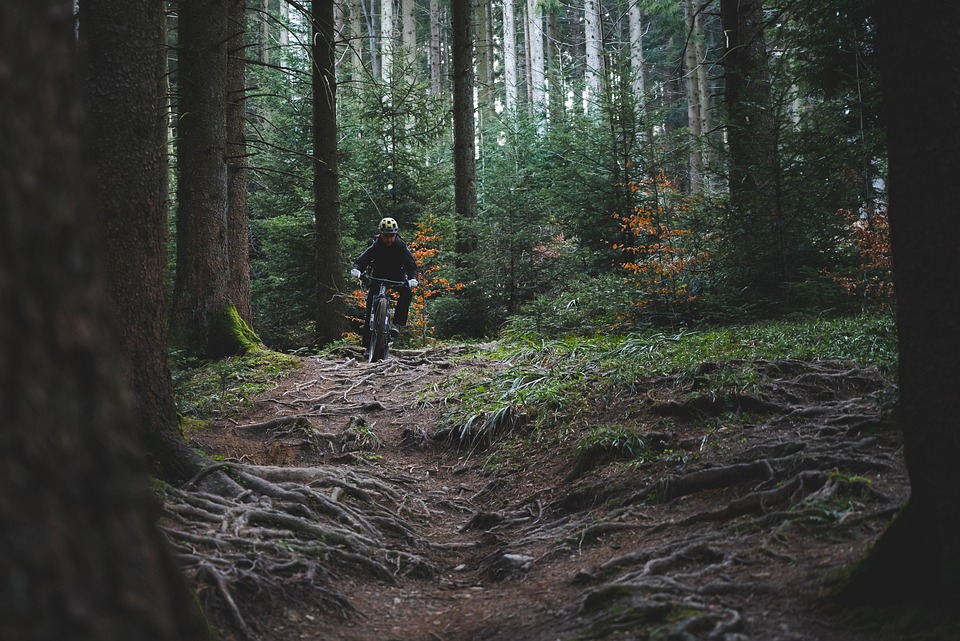 3 Epic Mountain Bike Trails Near Melbourne