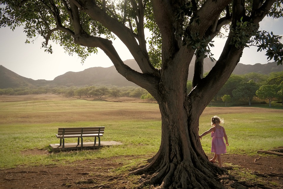 Honoring Loved Ones: The Memorial Bench With a Personalized Plaque