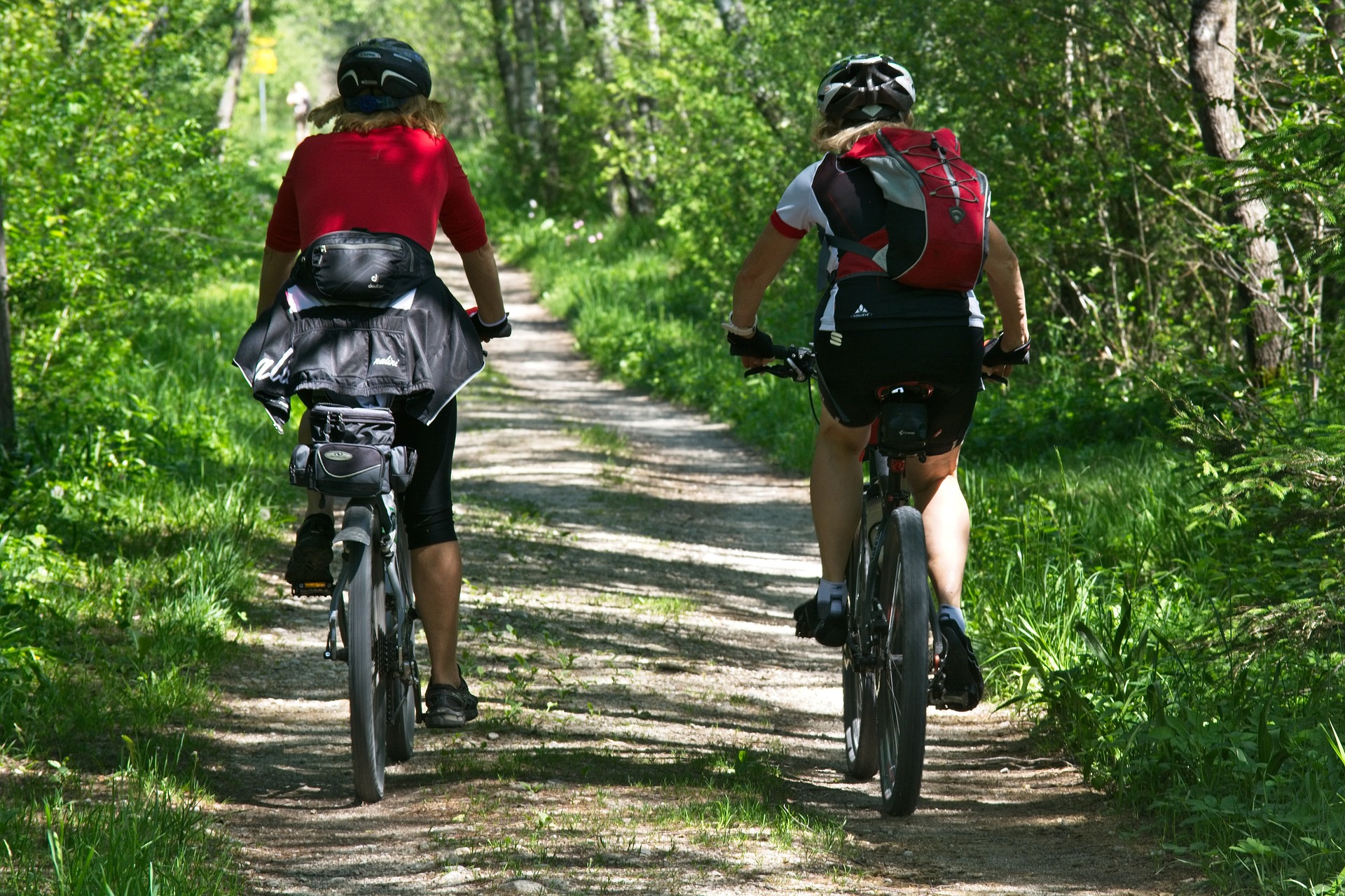 Discover the Beauty of Darebin Creek Trail