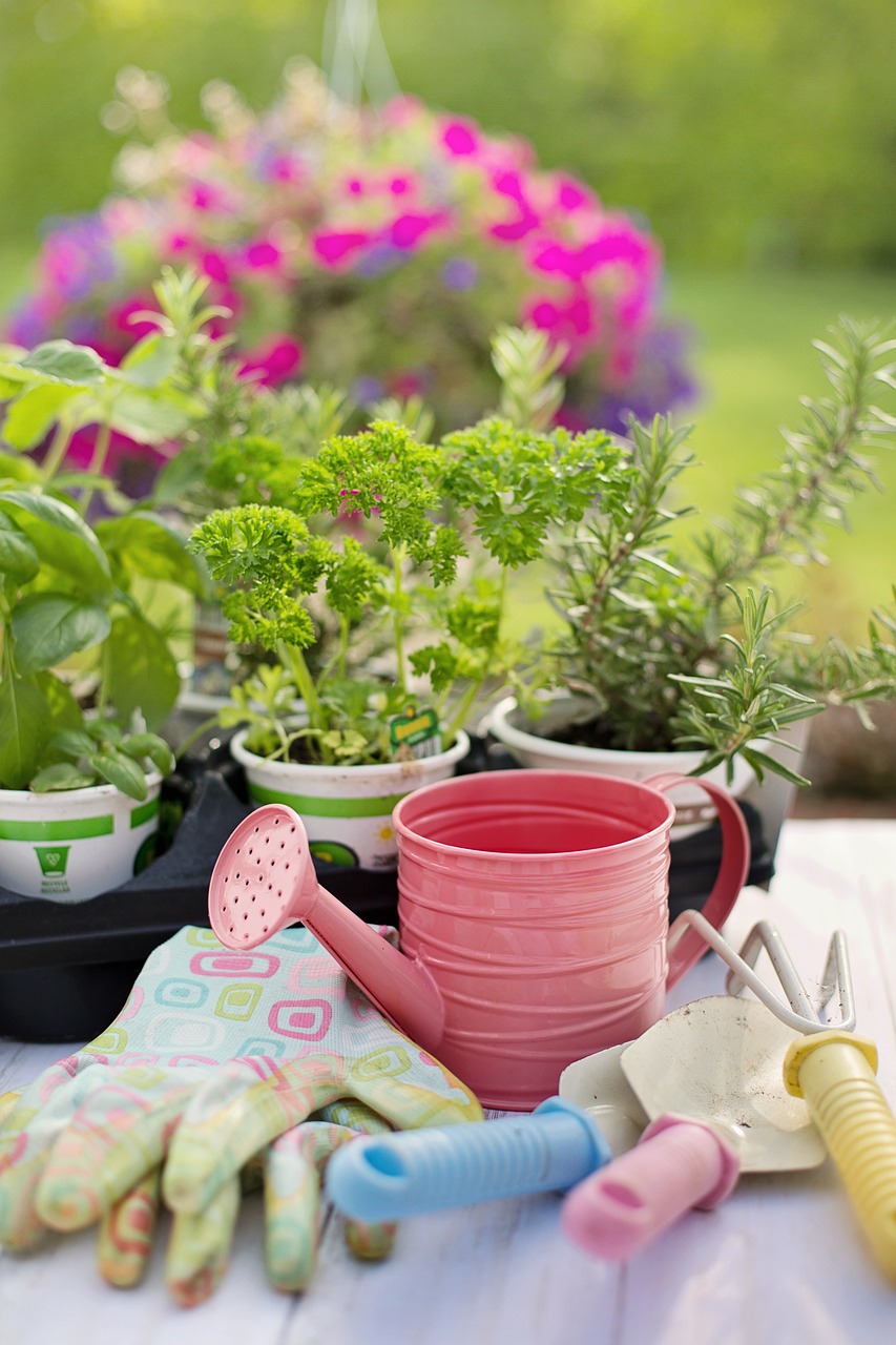 Gardening Services in Camberwell: Everything You Need to Know