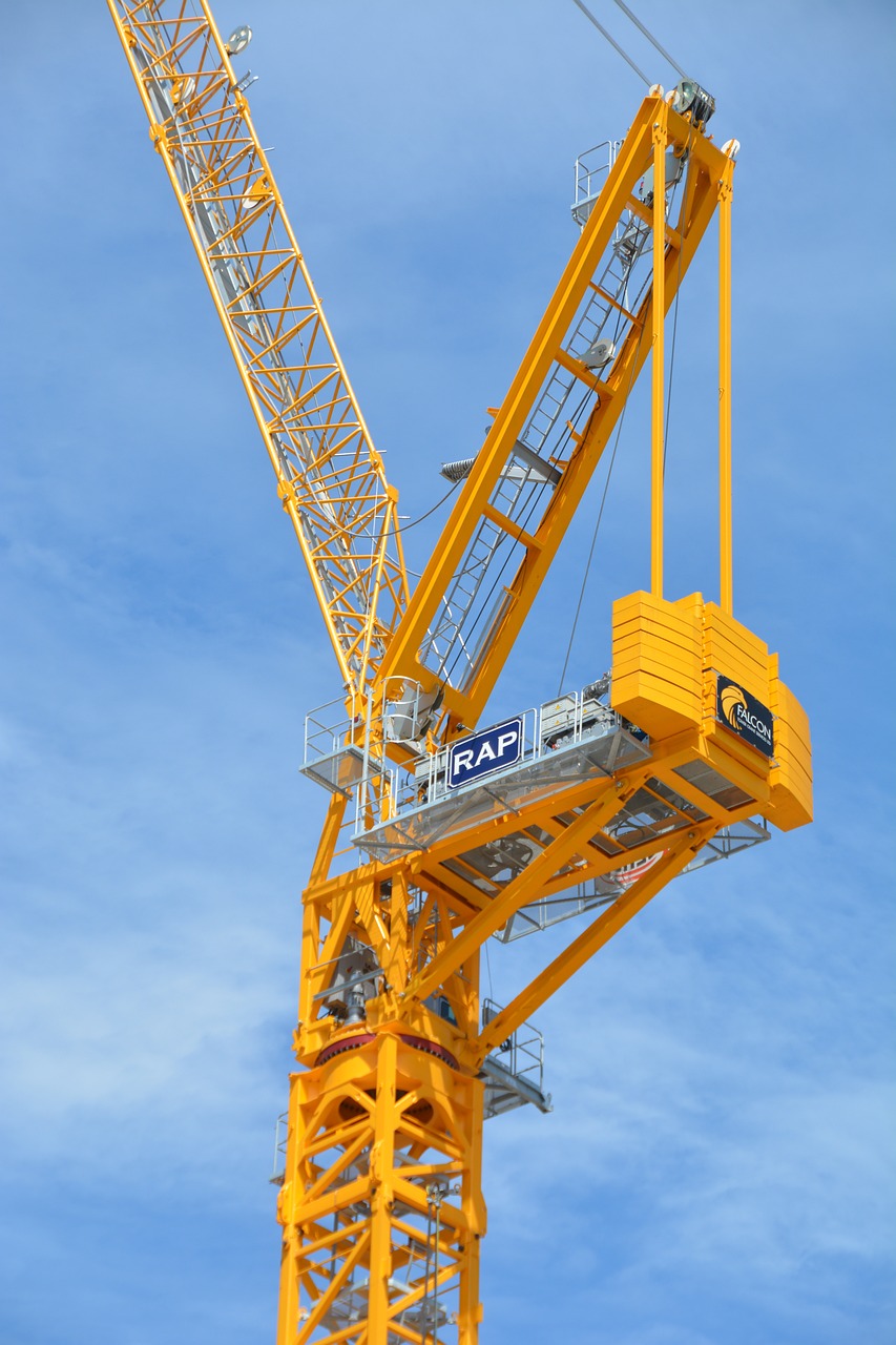 All About the Mighty Cranes