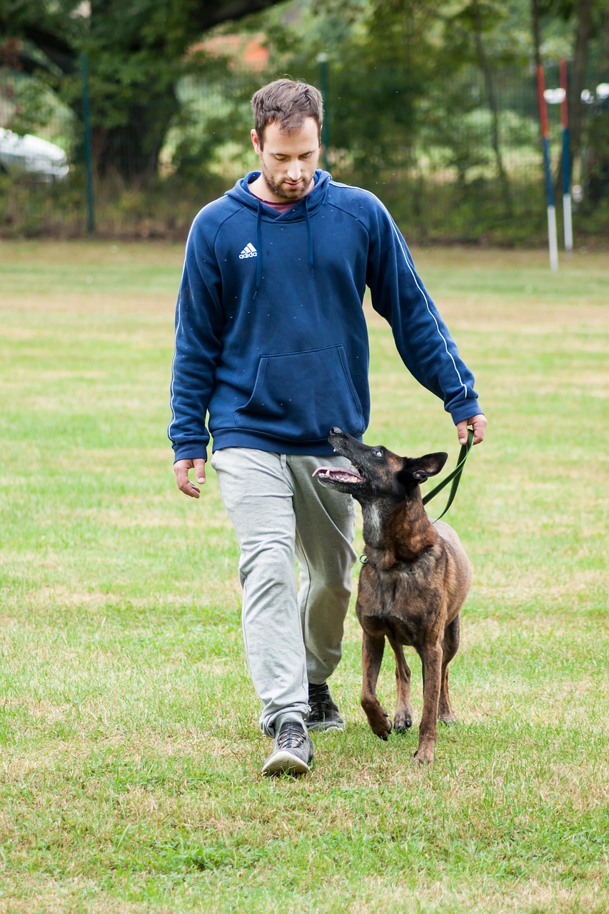 K9 Dog Training Sydney: A Comprehensive Guide