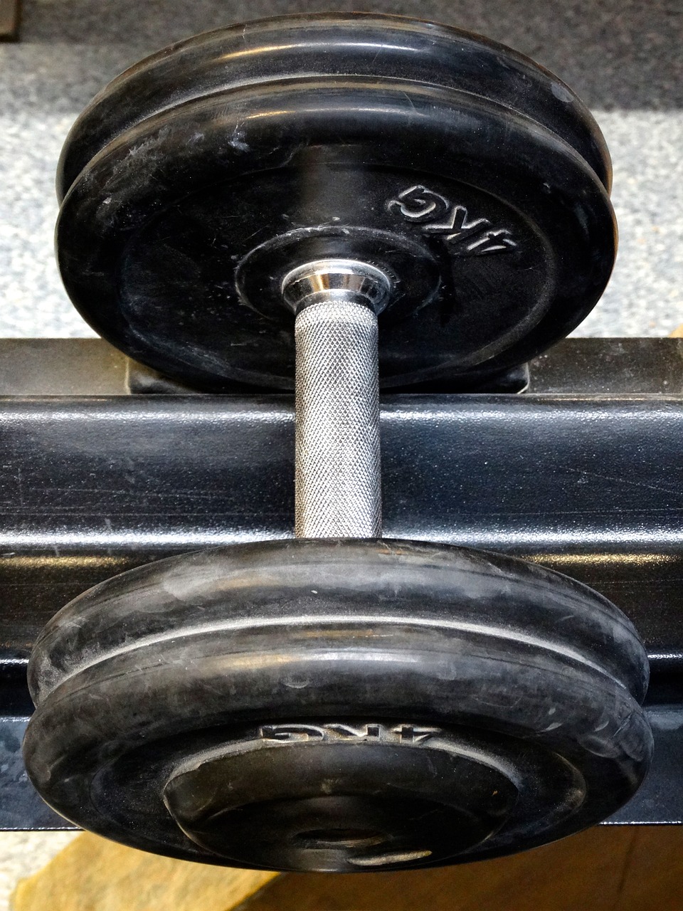 Monkey Madness: The Incredible Feat of Monkey Lifting Weights