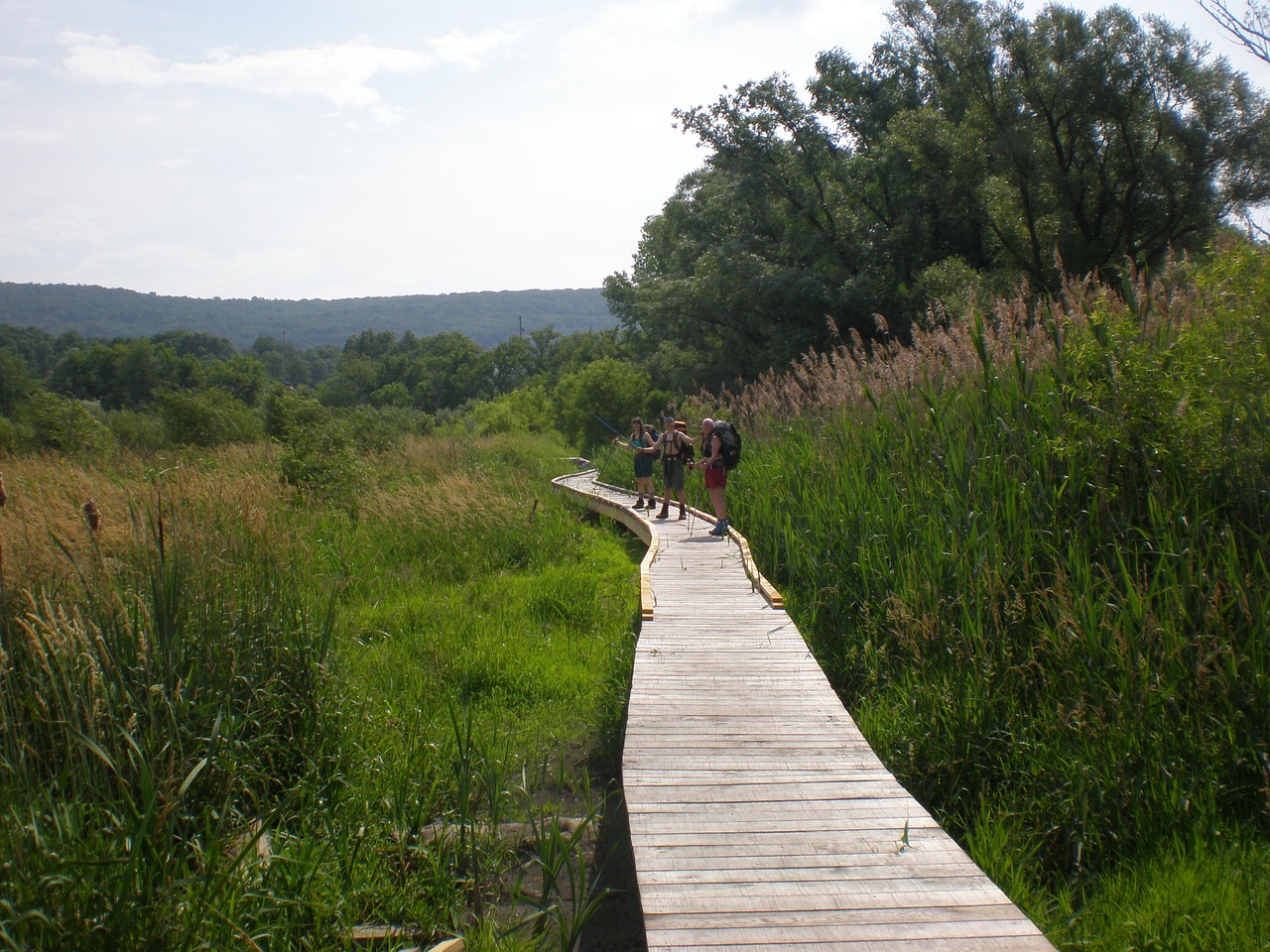 Exploring Nature on a Trail