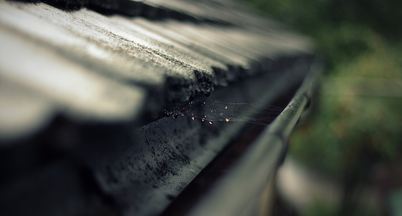 The Importance of Cleaning Your Gutters