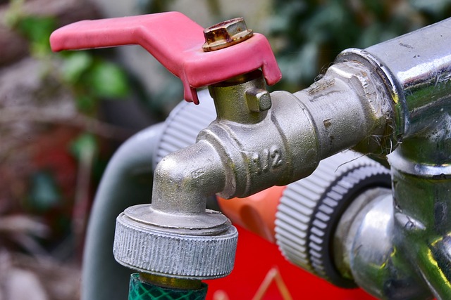 Gardening Made Easy with a Lever Tap