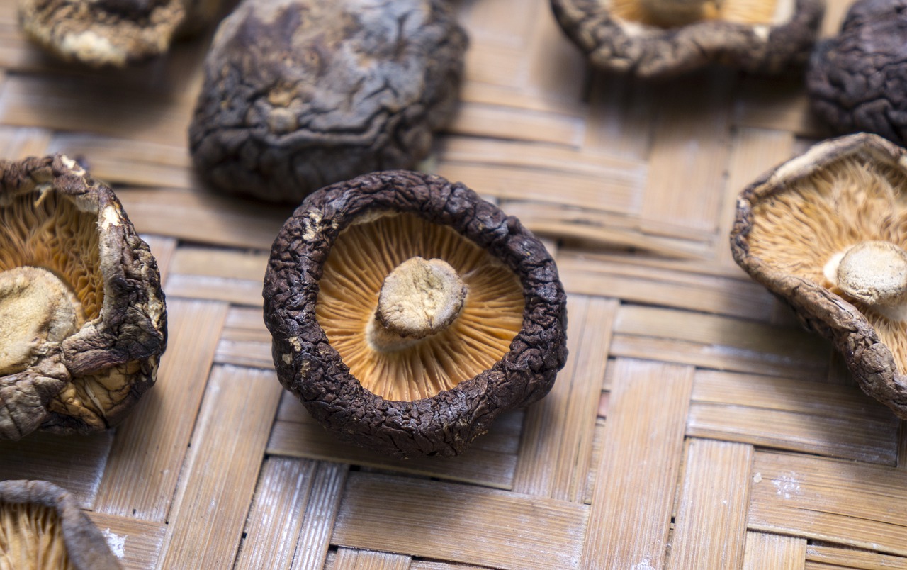 Health Benefits of Shiitake Mushrooms