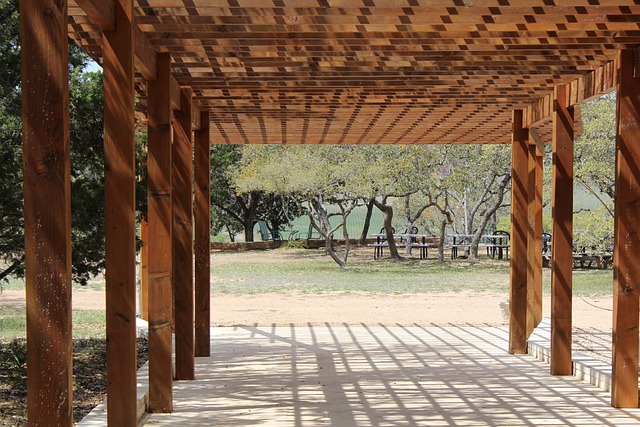 Create Your Perfect Outdoor Space with a Pergola