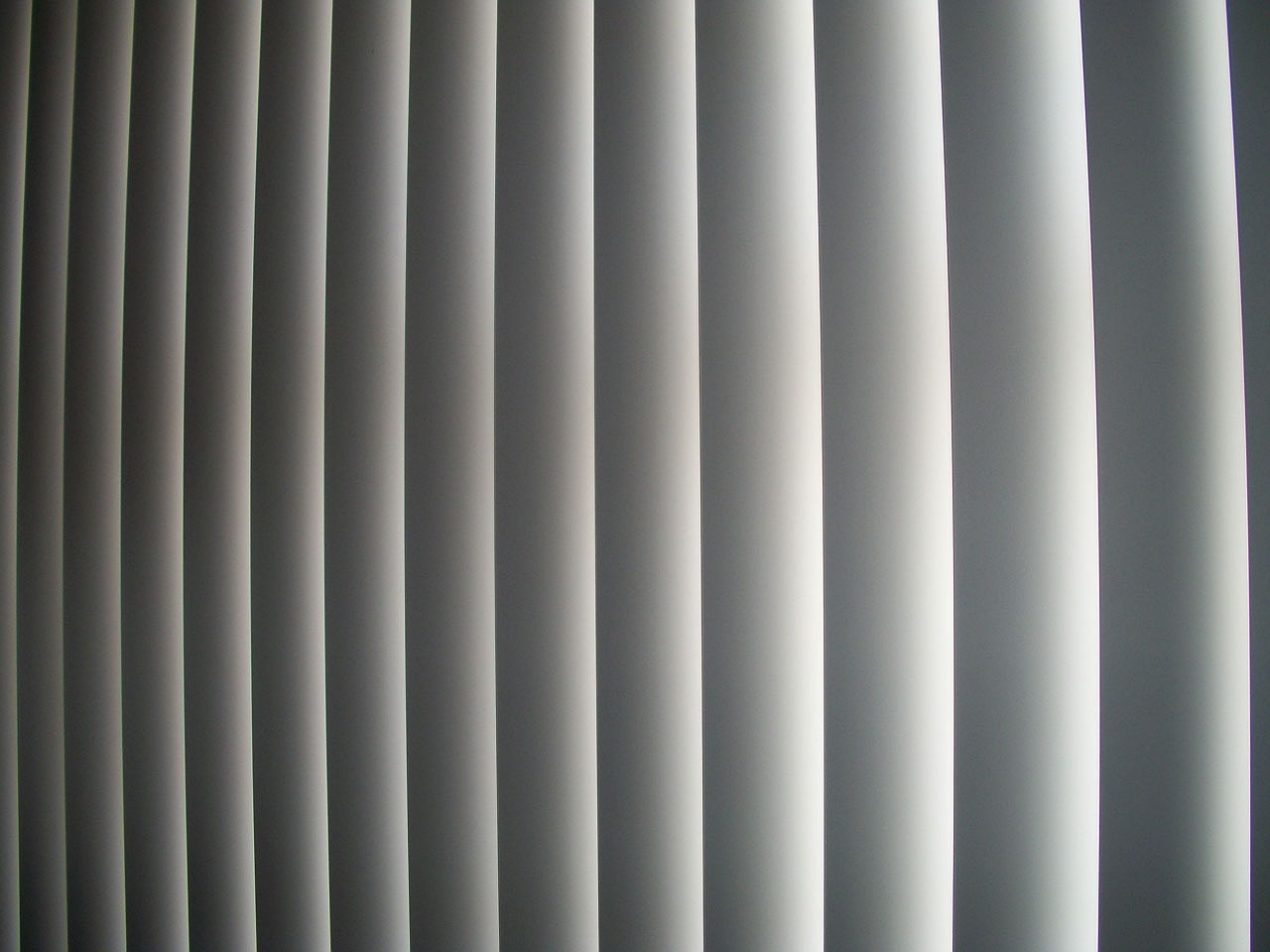 Choosing the Right Window Treatment: A Guide to Vertical Blinds in Wellington