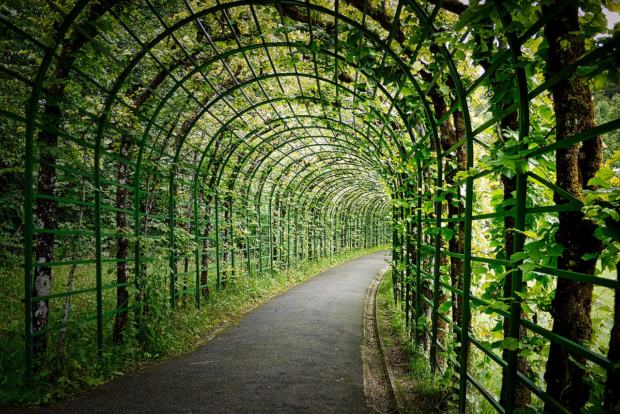 Exploring the Beautiful Pergolas in Lovely Cornwall