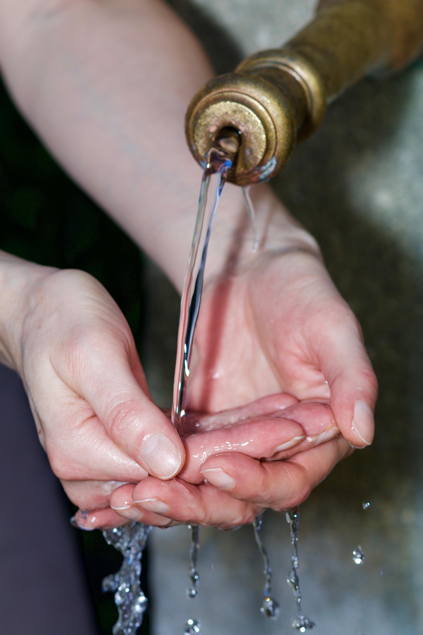 Clean Water for Your Home: A Guide to Whole House Water Filtration