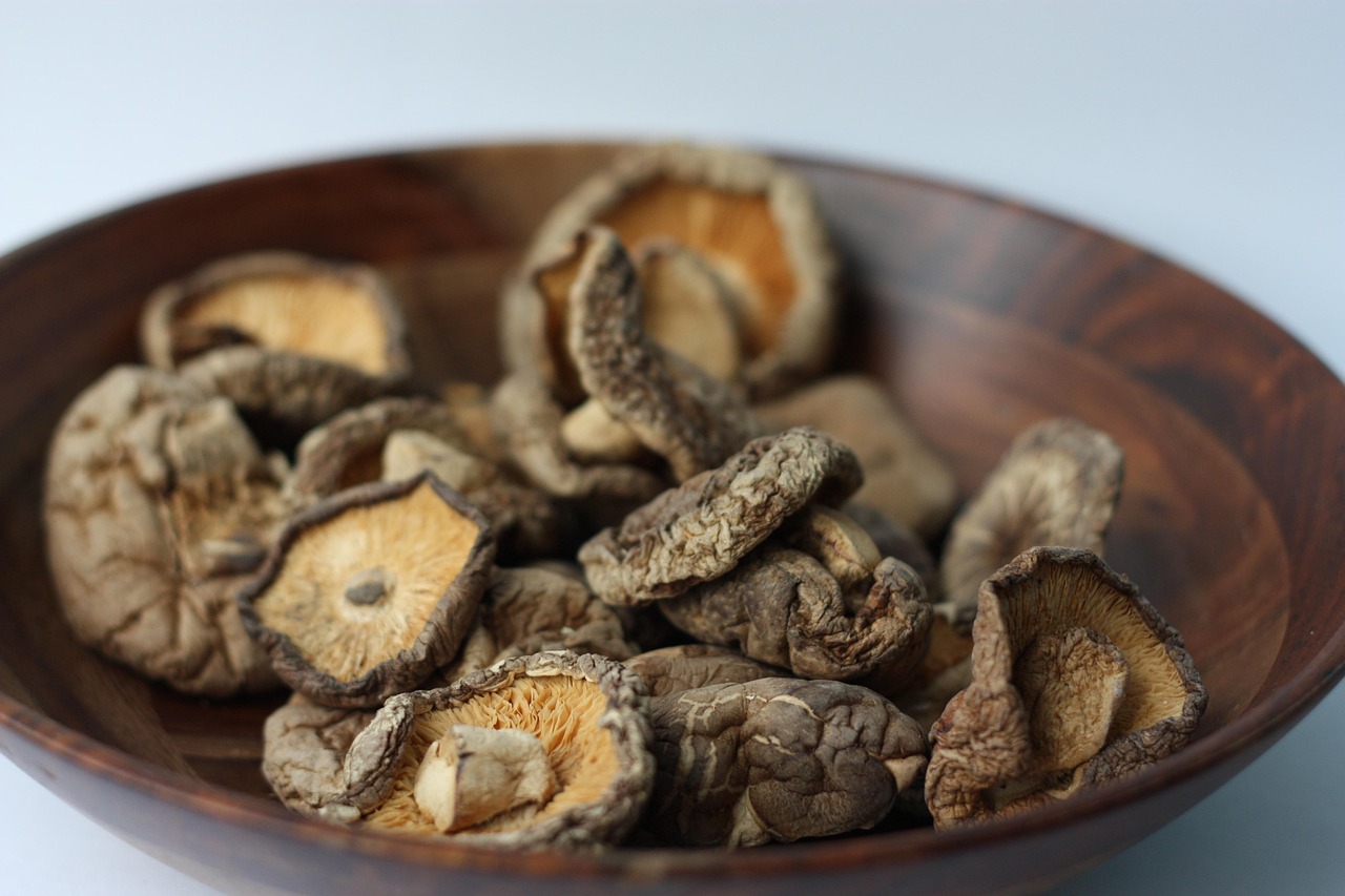 The Power of Shiitake Mushrooms