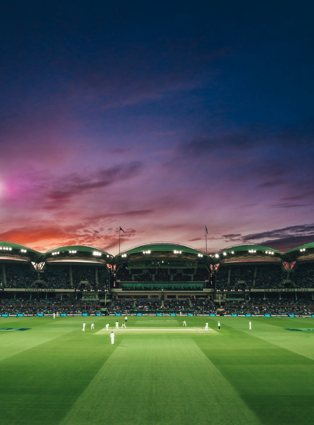 Cricket players on a field at Adelaide Oval in North Adelaide, Australia