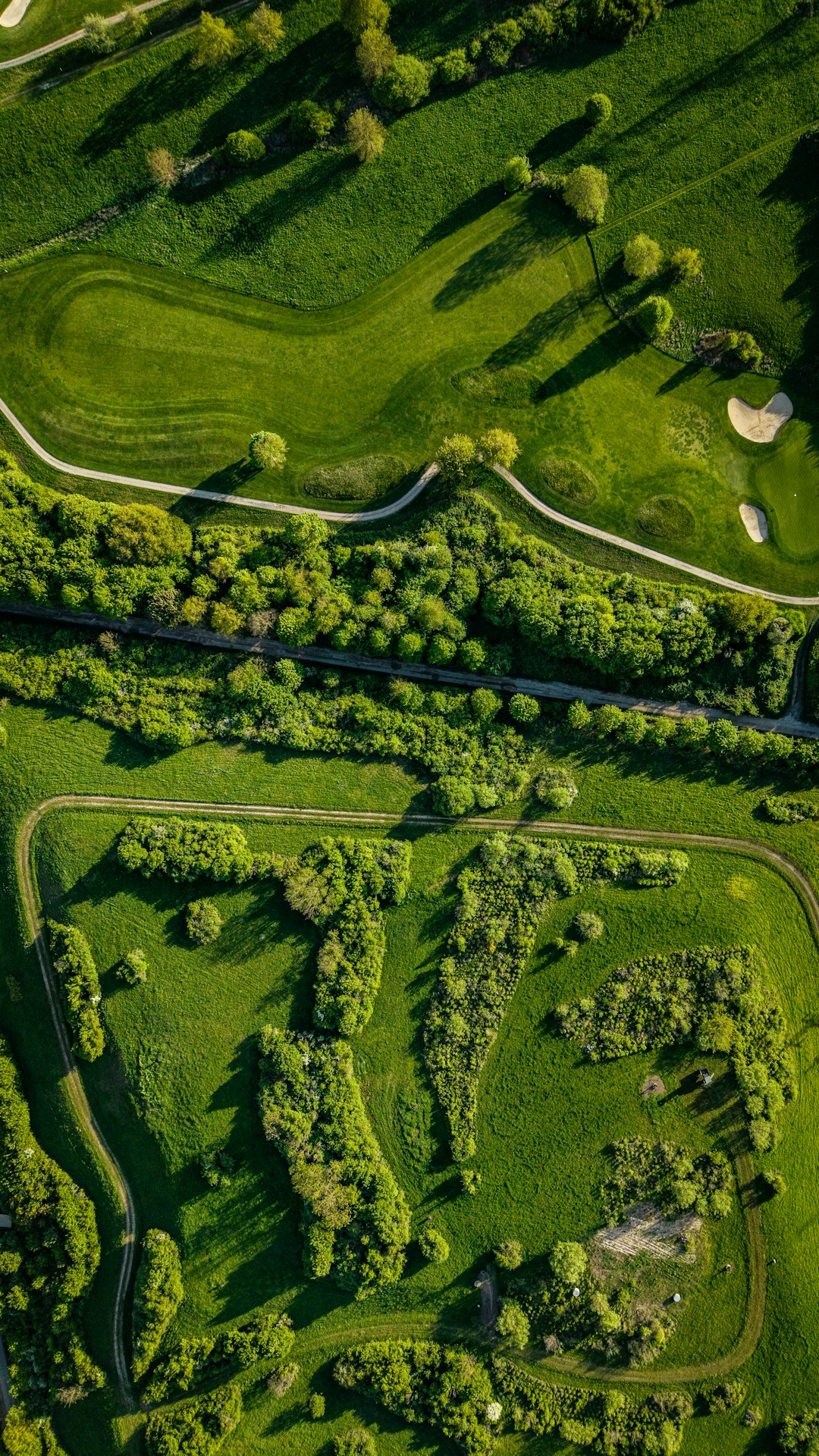 Aerial view of a lush green golf course with trees